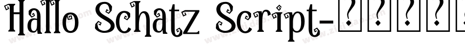 Hallo Schatz Script字体转换